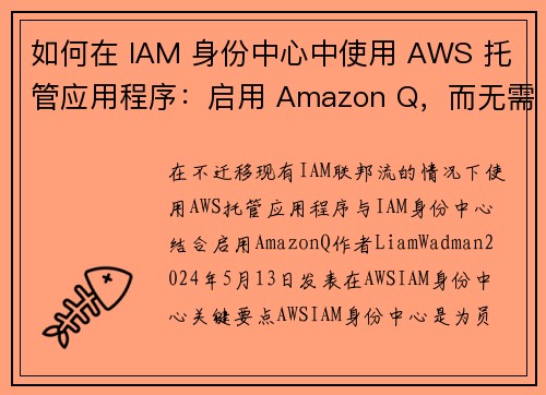 如何在 IAM 身份中心中使用 AWS 托管应用程序：启用 Amazon Q，而无需迁移现有的 IA